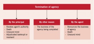 How agency relationships work under Contracts Law of Cyprus Eng