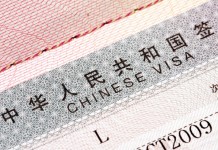 聚焦在中国境内就业的外国人