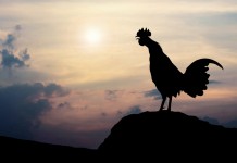 New dawn global economic and political uncertainties