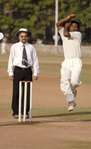 Cricket_and_umpire