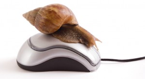 Snail_on_a_computer_mouse