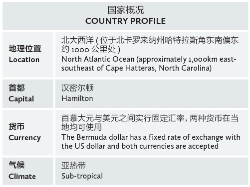 BeesMont-PP-Country-Profile-table
