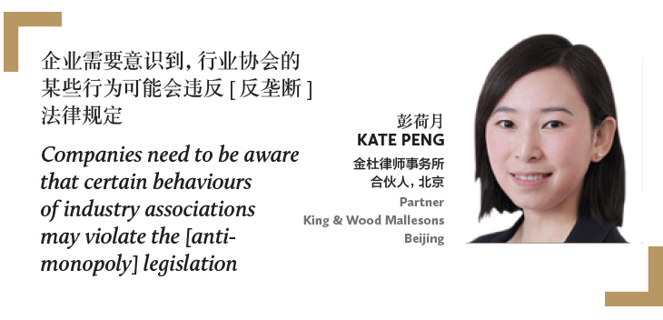 彭荷月 Kate Peng 金杜律师事务所 合伙人，北京 Partner King & Wood Mallesons Beijing