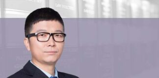 IP protection strategies in a new legal environment, 新形势下的知识产权保护策略, Frank Liu, Pacific Legal