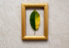 Spinning green into gold ESG principles in Asia - Business Law
