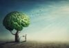 Health plans must cover mental Illness India health plans cover mental illness
