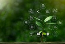 Law firm consultant Grey Matter helps clients go green Grey Matter Green Impact Group initiative