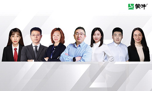 MENGNIU GROUP