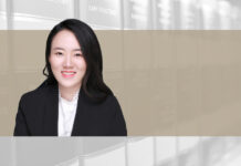 怠于履行清算义务股东抗辩策略研究 Shareholder strategies defending neglected liquidated duty claims
