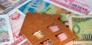 Five firms act on Vietnam’s Novaland bond restructuring Novaland Convertible Bonds Restructuring