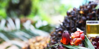 Four firms assist on Malaysia’s largest IPO since 2022 Johor Plantations Group’s IPO