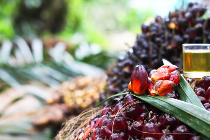 Four firms assist on Malaysia’s largest IPO since 2022 (1) Johor Plantations Group’s IPO
