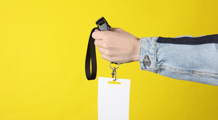 Employee Information Misuse Case