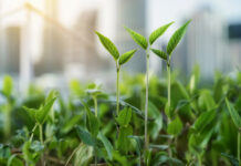 贰厂骋の最新情报 ESG update