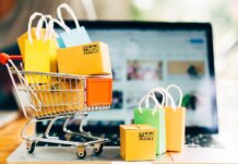电子商务的发展 E-Commerce developments in India and Russia