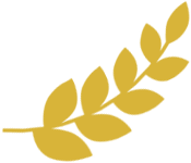 End Icon