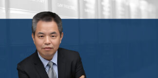 DSOs under the new Company Law