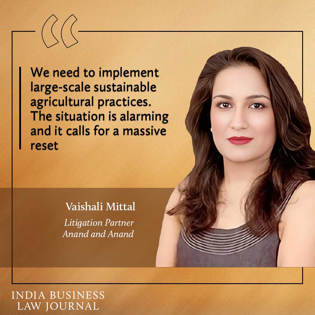 Vaishali Mittal, Anand and Anand