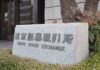 JX Advanced Metals IPO