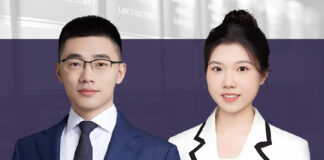 Horizontal corporate veil-piercing