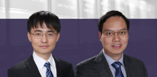 IP due diligence investigation
