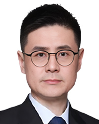Wang Feng, Docvit Law Firm