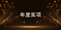 年度奖项