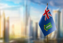 BVI expands Asia and China investments
