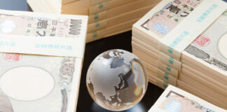 Japan Economic Security