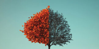 Legal experts' insights on bankruptcy