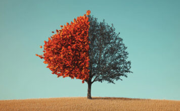 Legal experts' insights on bankruptcy