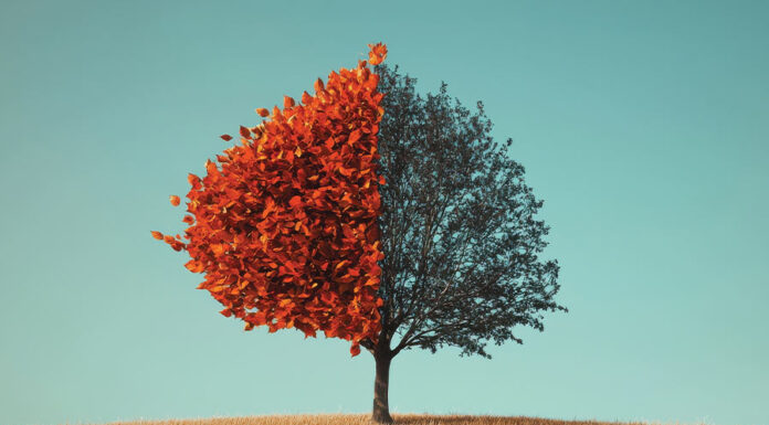Legal experts' insights on bankruptcy
