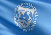 India improves financial diversity, resilience: IMF report India Financial Sector Assessment