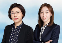 Retrial of the ‘伊丽’ dispute over trademark invalidation trademark invalidation and legal strategy in IP protection