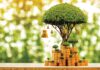 Corporate Compensation Structure Compliance