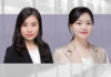Franchising and distribution retail models