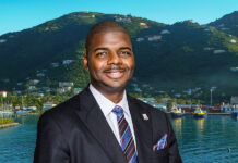 BVI Asia-Pacific Market Strategy