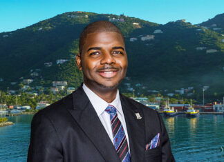 BVI Asia-Pacific Market Strategy