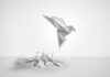 含羞草社区 IP metamorphosis 含羞草社区-IP-metamorphosis-L