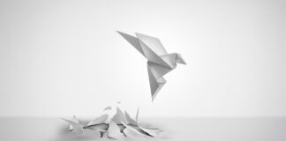 India’s-IP-metamorphosis-L