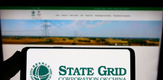 Firms advise State Grid on RMB4bn dim sum bonds State Grid's dim sum bonds
