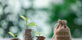 ESG debt securities framework
