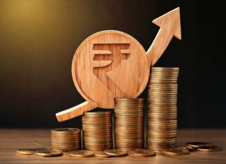 Japanese investment in India