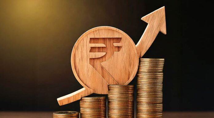 Japanese investment in India