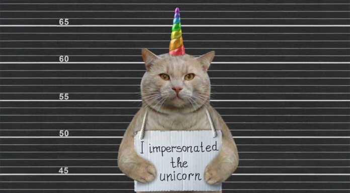 Unmasking the unicorn-cover
