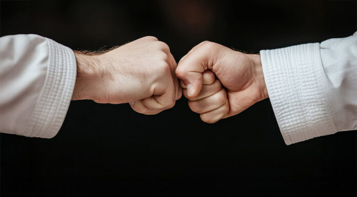 China’s Anti-Foreign Sanctions Law