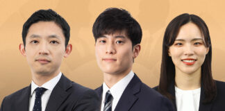 Japan Corporate Governance Reform