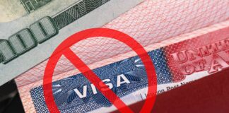 H1B visa fee order