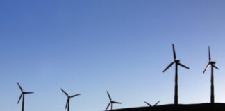 Freshfields polishes its green credentials Freshfields' green credentials
