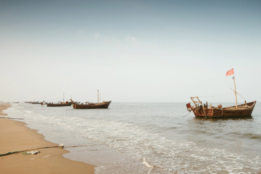 Safe harbour?